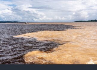 A breathtaking view of the Rio Negro River in the Amazon rainforest, symbolizing both fear and excitement of nature.