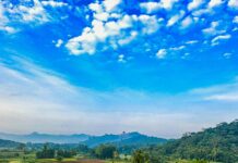 Sunny paradise under blue skies: Nilgiri Hills, Kerala, India SUNNY HEAVEN UNDER BLUE SKY: NILGIRI HILLS, KERALA, INDIA