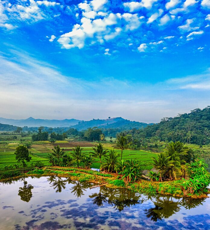 SUNNY HEAVEN UNDER BLUE SKY: NILGIRI HILLS, KERALA, INDIA
