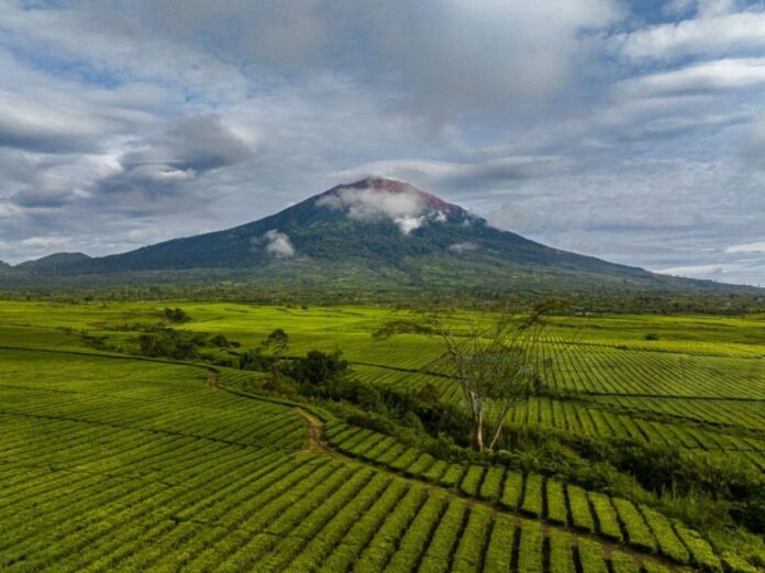 Panoramic view of Mount Kerinci, Sumatra, Indonesia – the highest volcano in Southeast Asia, surrounded by lush forests and misty skies.